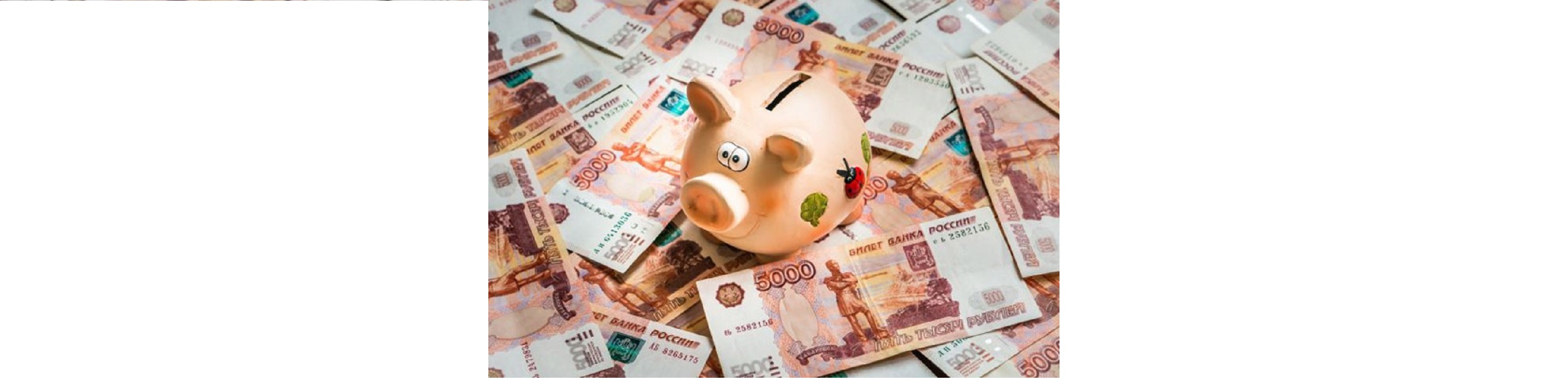 Российский финансовый рынок ожидает дальнейшее ослабление отечественной валюты, большинство экспертов рекомендуют населению хранить свои сбережения именно в рублях